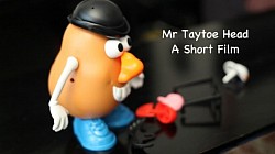 Mr Taytoe Head